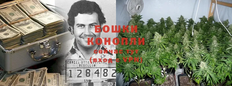 Бошки Шишки THC 21%  Жигулёвск 